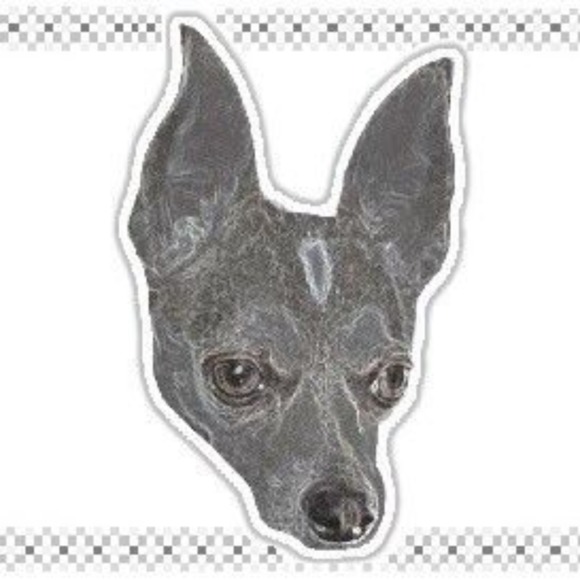 Meet your Posher, Michael - Picture 1 of 1